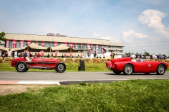 MIglia 2018