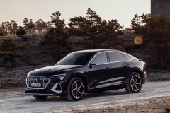 Audi e-tron Sportback 55 quattro