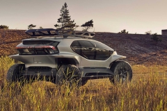 audi-ai-trail-quattro-2019-15