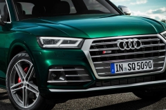 2019-audi-sq5-tdi (13)