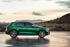 2019-audi-sq5-tdi (5)