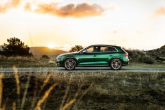 2019-audi-sq5-tdi (6)