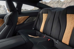 2019-bmw-m8-coupe-14