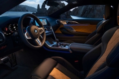 2019-bmw-m8-coupe-16