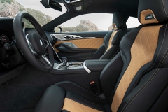 2019-bmw-m8-coupe-6