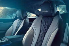 bmw-individual-m850i-night-sky (9)