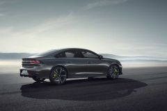 concept-508-peugeot-sport-engineered (10)