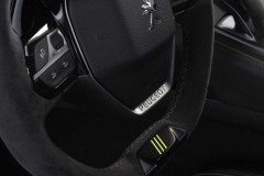 concept-508-peugeot-sport-engineered (27)
