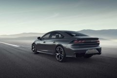 concept-508-peugeot-sport-engineered (8)