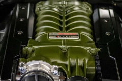 ford-old-crow-mustang-gt-6