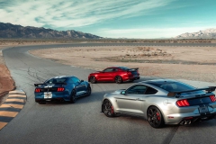 2020-ford-shelby-gt500-14