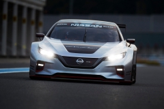 2018 LEAF NISMO RC track 21-source