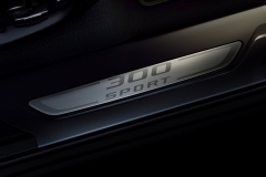 jagfpace20my300sportdetail190319019dx