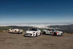 jagftype20myrallyspecial12111811