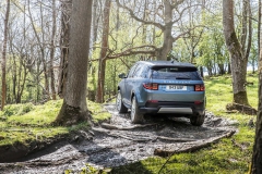 2020-land-rover-discovery-sport-36