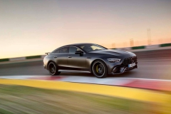 2019-mercedes-amg-gt-4-door-coupe (5)