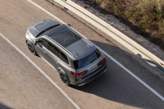 2020-mercedes-benz-gls-class (9)