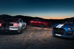 2020-ford-shelby-gt500 (10)