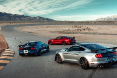 2020-ford-shelby-gt500 (11)