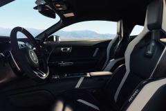 2020-ford-shelby-gt500 (19)