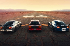 2020-ford-shelby-gt500 (9)