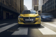 peugeot-208-2019 (6)