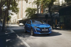 peugeot-e208-2019 (3)