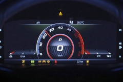 2019-skoda-kodiaq-rs-leaked-official-photo (4)