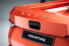 skoda-mountiaq-concept-8