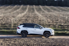 2019-toyota-rav4-dyn-41-756810