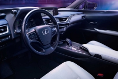 2020-lexus-ux-300e-7
