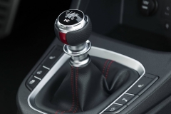 hyundai-i30-fastback-n (33)