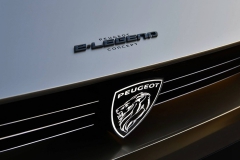 2018-peugeot-e-legend-concept (17)