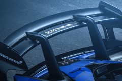 mclaren-senna-gtr (7)