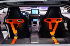 rg-nathalie-neuer-gumpert-elektrosportler