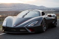2020-scc-tuatara-1
