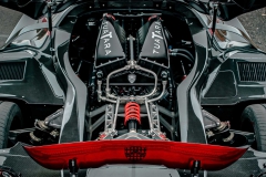 2020-scc-tuatara-15