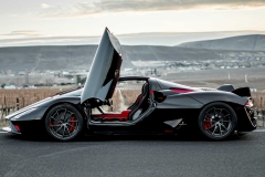 2020-scc-tuatara-5