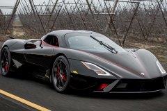 2020-scc-tuatara