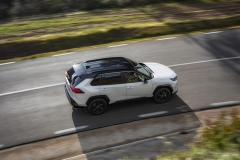 2019-toyota-rav4-dyn-08-441893