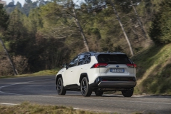 2019-toyota-rav4-dyn-15-392838