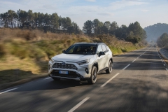 2019-toyota-rav4-dyn-16-789650