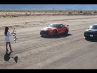 Shelby GT500 vs. lumea întreagă (video)